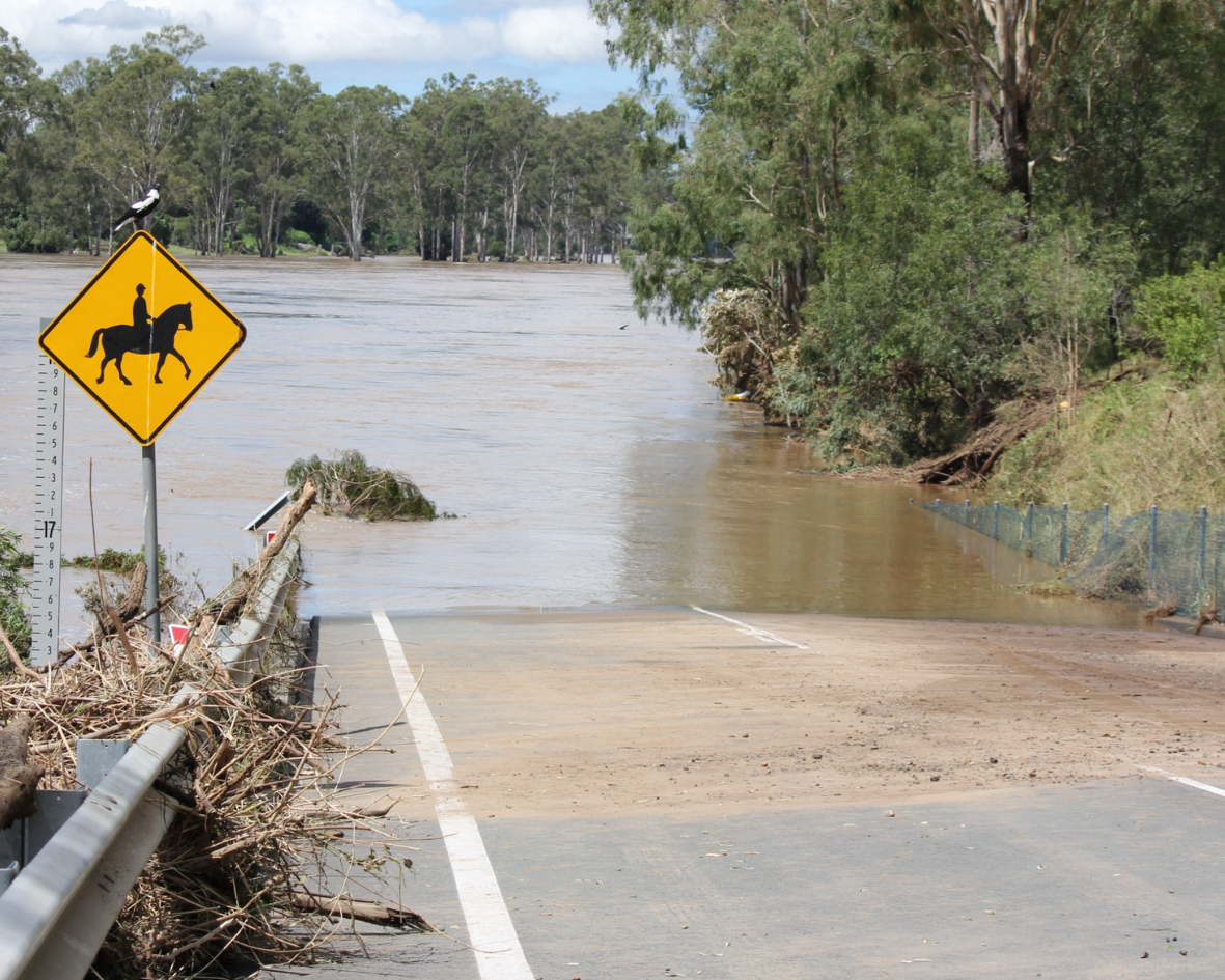 A flooded road with a horse crossing sign, surrounded by trees and debris. Water levels are high, indicating recent flooding.